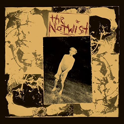 The Notwist (30 Years Special ed.-Alt.Artwork) von Subway Records / Cargo