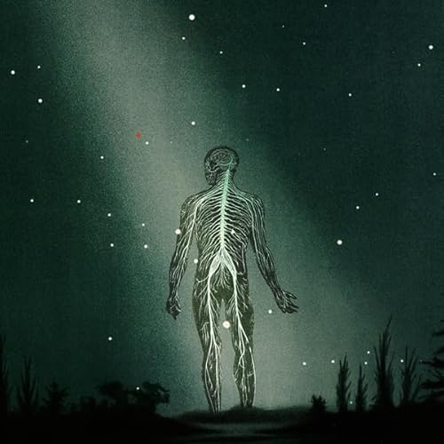 Maury Island Reverie [Musikkassette] von Sucata Tapes