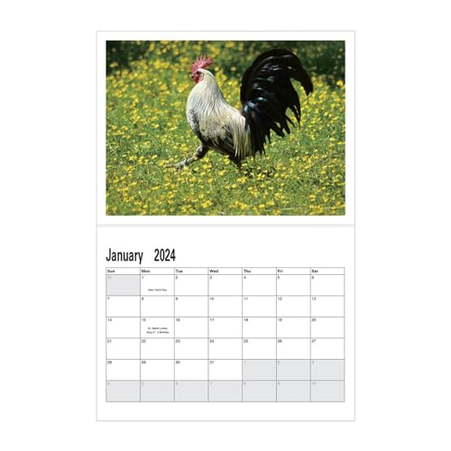 Große Schwänze 2024 Wandkalender Lustiger Monatskalender Zum Aufhängen Für Wildtiere Kunstvolle Fotografie Für Wildtierliebhaber Wichtelgeschenk von SueaLe