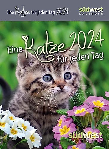 Eine Katze für jeden Tag 2024 - Tagesabreißkalender zum Aufstellen oder Aufhängen Eine Katze für jeden Tag 2024 - Tagesabreißkalender zum Aufstellen oder Aufhängen von Suedwest Verlag