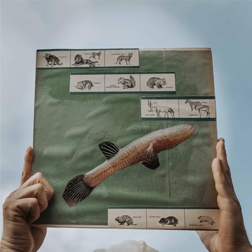 The River Strumming [Vinyl LP] von Suicide Squeeze / Cargo