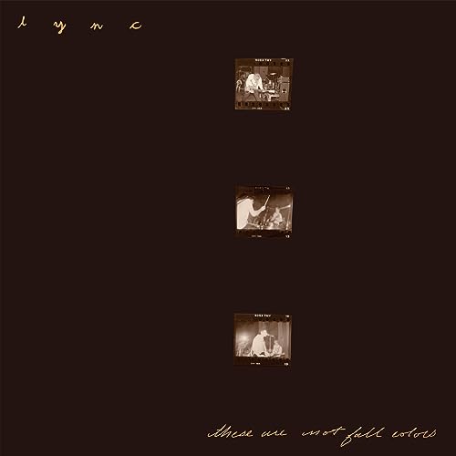 These Are Not Fall Colors (Deluxe Edition) [Vinyl LP] von Suicide Squeeze / Cargo