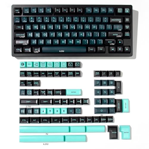 160 Tasten Doubleshot Keycaps SA Profil Monster Keycaps Set Fit für 60% 65% 75% 95% Cherry Mx Switches ISO ANSI Mechanische Tastaturen von Sumgsn