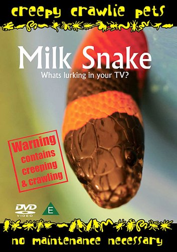 Creepy Crawlie Pets - Milk Snake [DVD] von Summersdale Productions