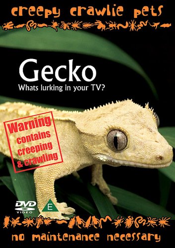 Creepy Crawlie Pets - Wonder Gecko [DVD] von Summersdale Productions