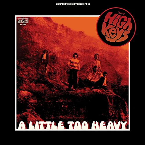 A Little Too Heavy [Vinyl LP] von Sundazed