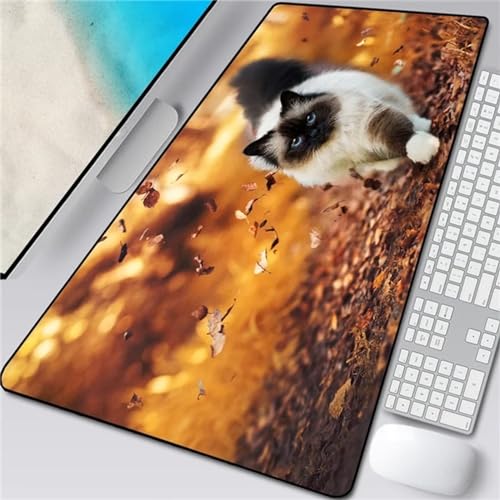 Mauspad,großes rutschfestes Mauspad,Waschbar für Kabellose Maus Laptop PC Büro Zuhause Arbeiten Spiele - Blattgehende Katze,600x300x2mm von Suneve