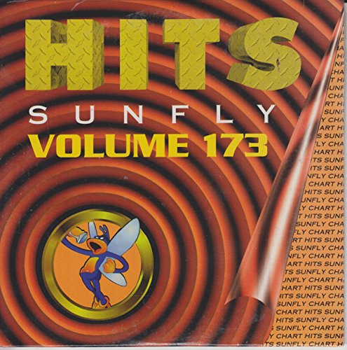 Sunfly Hits Vol 173 - Karaoke CD+G von Sunfly Karaoke