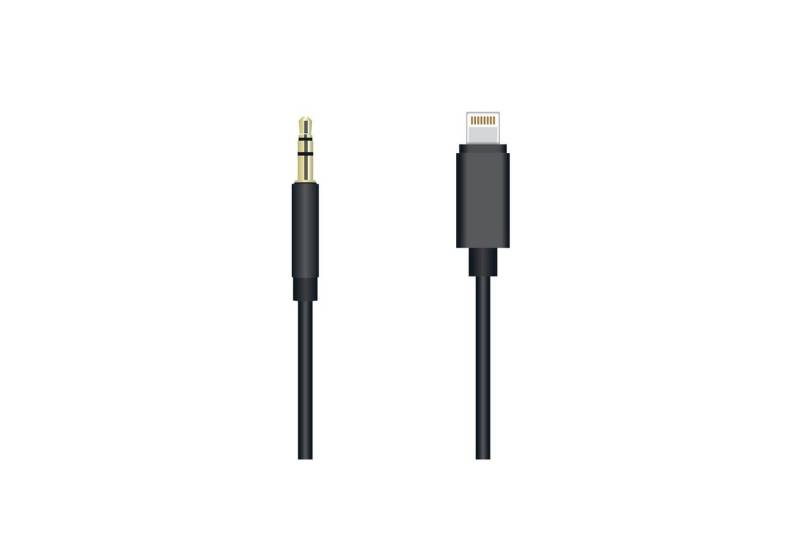 Sunix Lightning zu Aux Audio 3,5mm Klinkenstecker Anschluss Audio-Adapter von Sunix