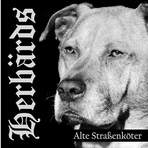 Alte Straßenköter von Sunny Bastards / Cargo