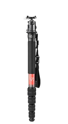 SUNWAYFOTO M3650C + EB-36 CF Einbeinstativ, 36 mm, oberer Abschnitt, 10 kg, maximale Tragkraft, Kohlefaser, 1/4 Zoll, 3/8 Zoll, super tragbar + Arca-kompatibler Kugelkopf SUNWAYFOTO M3650C + EB-36 CF Einbeinstativ, 36 mm, oberer Abschnitt, 10 kg, maximale Tragkraft, Kohlefaser, 1/4 Zoll, 3/8 Zoll, super tragbar + Arca-kompatibler Kugelkopf von Sunwayfoto