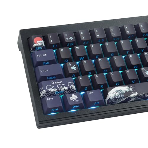 Sunzit PBT Custom Keycaps,129 Tasten Korallenmeer Tastenkappen Cherry Profil Dye-Sub Shine Through Side Printed Keycaps für ISO/ANSI UK Layout Mechanische Gaming Tastatur(Schwarz) von Sunzit