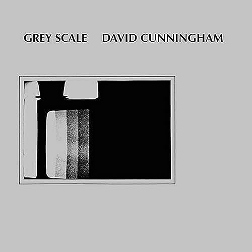 Grey Scale von Superior Viaduct
