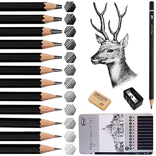 Surcotto Bleistift Set, 12 Zeichenstifte Set, 14B 12B 10B 8B 6B 4B 2B B HB H 2H 4H, Skizzienstifte mit Spitzer und Radiergummi, für Kinder Erwachsene Anfänger Professionelle zeichnen von Surcotto