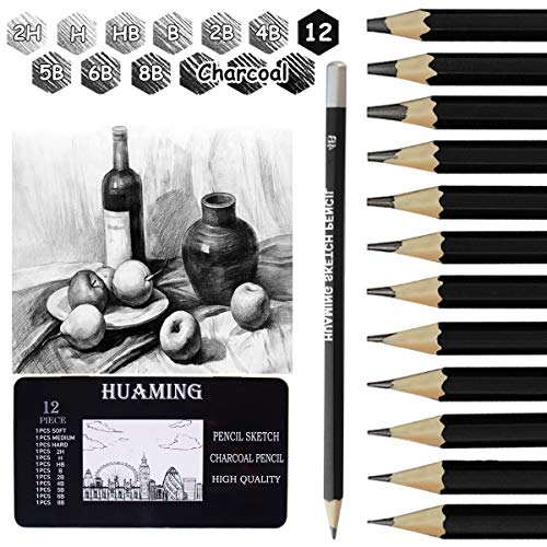 Surcotto Bleistifte Set, 9 Bleistifte mit 3 Kohlestifte, 1 Spitzer, 1 Radiergummi, 2H H HB B 2B 4B 5B 6B 8B, Zeichenstifte für Anfänger Künstler, professionelle Graphitstift von Surcotto
