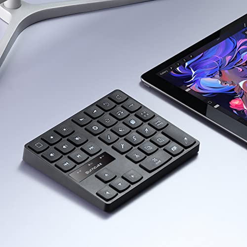 SurnQiee Bluetooth-Tastatur für iPad Procreate, kabellose wiederaufladbare Tastatur für Procreate, und Zeichnen Shortcuts für iPad und Grafiktabletts (schwarz) von SurnQiee