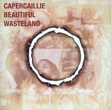 Beautiful Wasteland [Musikkassette] von Survival Records