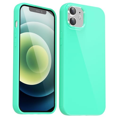 Svanove für iPhone 12/12 Pro Hülle Silikon, Dünn Handyhülle Einfarbig Glatt Gummi Gel Original, Weich TPU Slim Case Leicht Schutz Stoßfest Kameraschutz Schutzhülle, Mint von Svanove