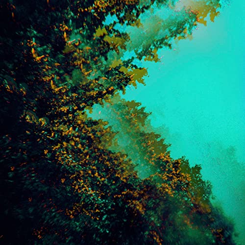 Caterpillars of Creation [Vinyl LP] von Svart Records (Membran)