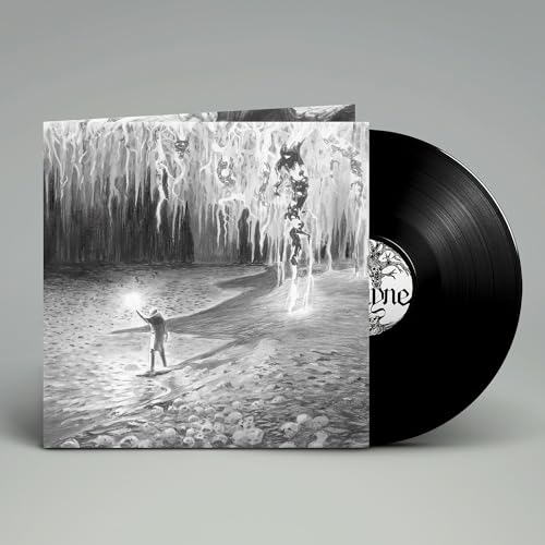 II: The Ground Below [Vinyl LP] von membran