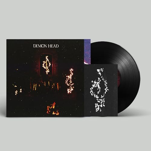 Through Holes Shine the Stars [Vinyl LP] von The Orchard