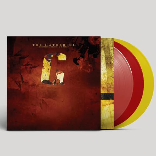 Accessories - Rarities and B-Sides [Vinyl LP] von Svart Records