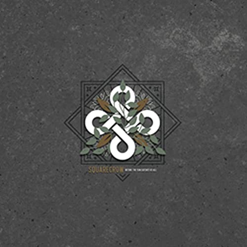 Before the Sun Catches Us All [Vinyl LP] von Swamp Cabbage