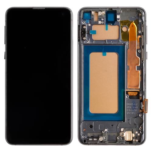 SwarKing TFT LCD Display kompatibel mit Samsung Galaxy S10e G970U G970W G970A G970 5,8 Zoll (Kein Fingerprint) Ersatzteile mit kostenlosen Werkzeugen von SwarKing