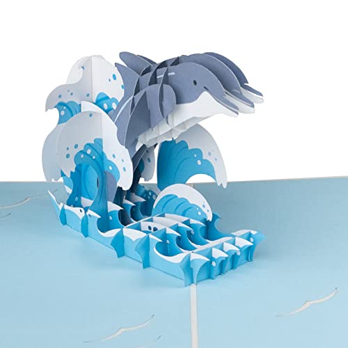Sweetpopup® Pop Up Karte Glückwunschkarte Geburtstagskarte Grußkarte Geschenkkarte Gutschein Glückwunsch Gratulation Komplimente Meer Ozean - 3D Delfin/Fisch, 188 von Sweetpopup