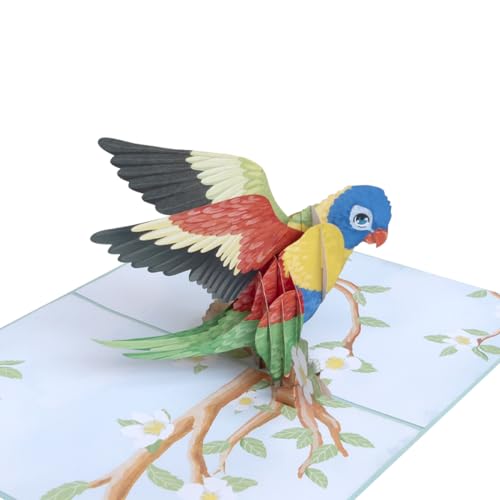Sweetpopup [NEU] Pop Up Karte Glückwunschkarte Geburtstagskarte Grußkarte Geschenkkarte Gutschein Glückwunsch Danksagung Genesung - 3D Vogel/Papagei, 184 von Sweetpopup