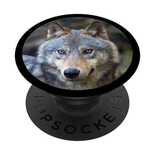 Unique Wolf Wildlife Photography Animal Lover Gift PACJ1220 PopSockets PopGrip: Ausziehbarer Sockel und Griff für Handys/Tablets mit Tauschbarem Top von Swesly Mobiltelefon