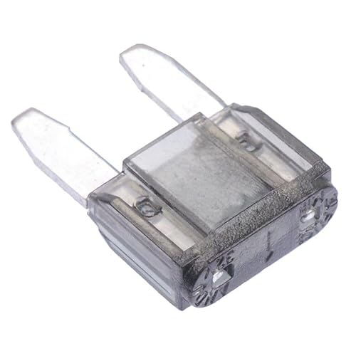 Switch Electronics Mini-Flachsicherung, 1 A, Ersatzteil, Auto, Heimwerker, Hobby (100 Stück) von Switch Electronics