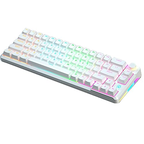 Sxhlseller Mechanische Gaming-Tastatur, 68 Tasten, US-Layout, RGB-hintergrundbeleuchtete Kabelgebundene Tastatur, Hot-Swap-Blue-Switch-Mechanische Tastatur für Computer-PC von Sxhlseller