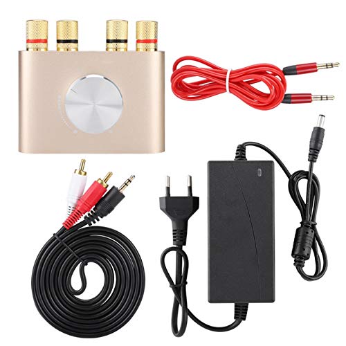 Sxhlseller -Stereo-Verstärker, Bluetooth Power Digital-Verstärker, 100W HiFi Stereo-Audio-Player-Verstärker, Stereo-Verstärker mit EU-Stecker von Sxhlseller