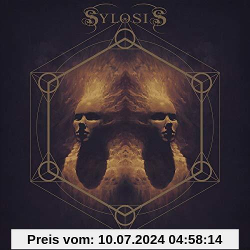 Cycle of Suffering von Sylosis