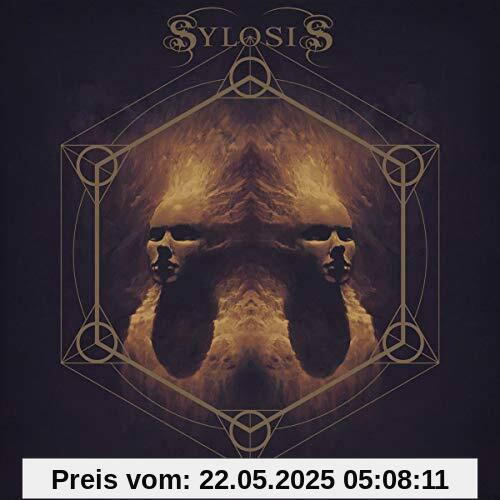 Cycle of Suffering von Sylosis