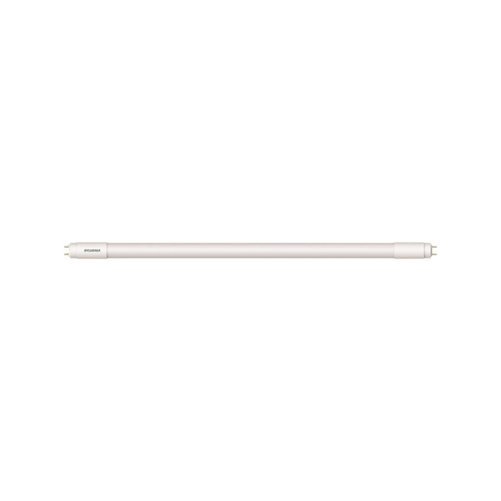 LED-Tube ToLEDo Superia G13 150cm 23W 4.000 K von Sylvania