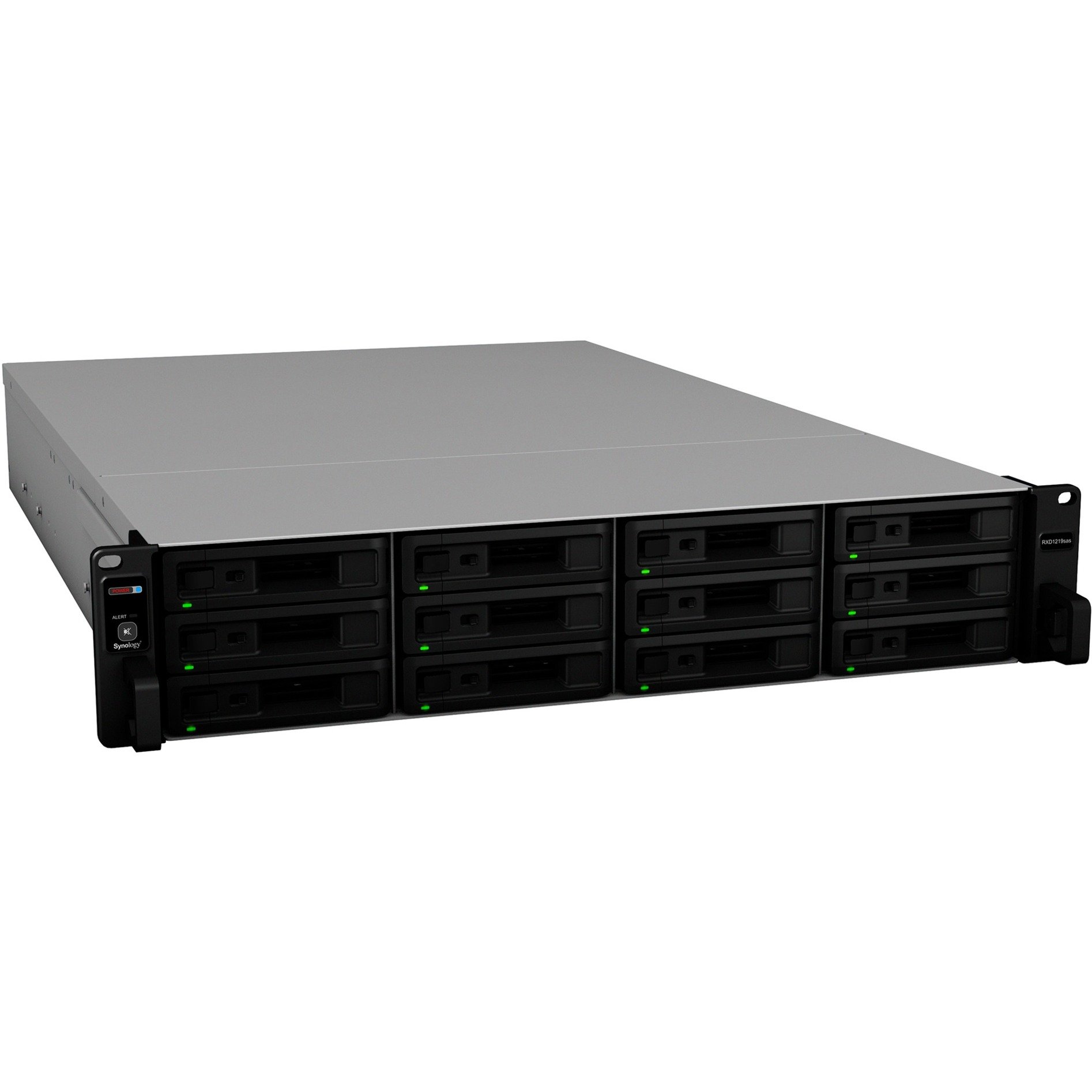 RX1219sas, NAS RX1219sas, NAS von Synology