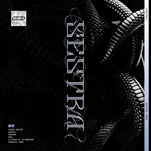 Vasstr01-Vol.1 (Cassie Raptor/Caravel/Imcha) [Vinyl LP] von Synth Religion / Cargo