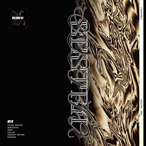 Vasstr01-Vol.2 (Sylvie Maziarz/Substencia/Swart. [Vinyl LP] von Synth Religion / Cargo