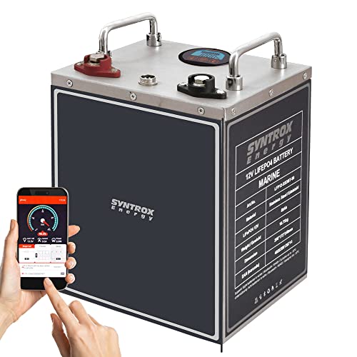 Syntrox Energy Lithium LiFePO4 Batterie Akku frostsicher Premium 12,8V BMS mit Bluetooth und Display, integrierte Heizung 40Ah bis 400Ah (80Ah) von Syntrox Germany