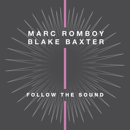 Follow the Sound [Vinyl LP] von Systematic