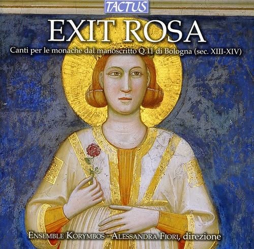 Exit Rosa von TACTUS