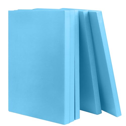 TAIANJI 5 Stück Groß Styroporplatten 40 x 30 x 2cm, Styrodur Basteln Hartschaum Platten Hartschaumplatte Styropor für Miniaturlandschaft, Vorlage, Malerei TAIANJI 5 Stück Groß Styroporplatten 40 x 30 x 2cm, Styrodur Basteln Hartschaum Platten Hartschaumplatte Styropor für Miniaturlandschaft, Vorlage, Malerei von TAIANJI