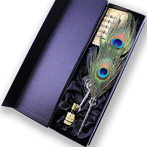 TANSHOP Vintage Feder Kalligraphie Pen Quill Pen Set mit Ständer und 5 Edelstahlspitzen in verschiedenen Größen, Feder Dip Pen Geschenkset (Peacock Feather Pen) von TANSHOP