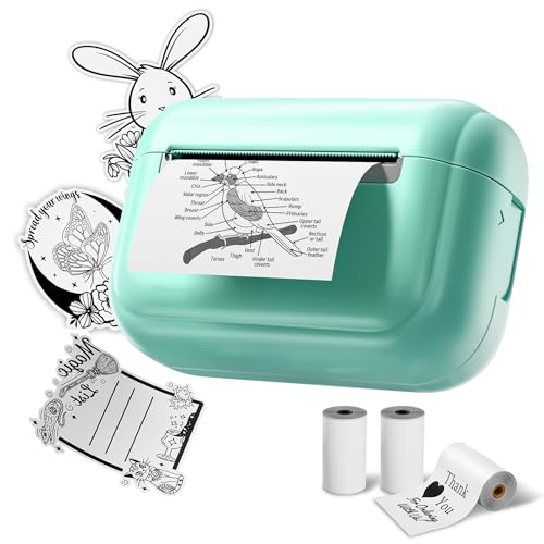 TATTMUSE Q02E Mini Drucker, Thermodrucker Bluetooth Fotodrucker, Etikettendrucker für Fotos Anmerkungen Entwurf, Grün, mit 3 Rollen Thermopapier TATTMUSE Q02E Mini Drucker, Thermodrucker Bluetooth Fotodrucker, Etikettendrucker für Fotos Anmerkungen Entwurf, Grün, mit 3 Rollen Thermopapier von TATTMUSE