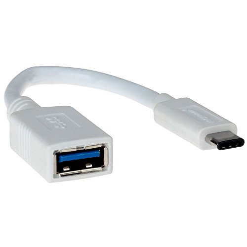 TECHGEAR USB C OTG Kabel USB C Auf USB 3.1 Adapter OTG Adapter Kabel kompatibel mit Amazon Fire Max 11, Fire HD 10, HD 10 Plus (13. 11. 19. Generation) Kindle Fire HD 8 / HD8 Plus 2020/2022 - Weiß von TECHGEAR