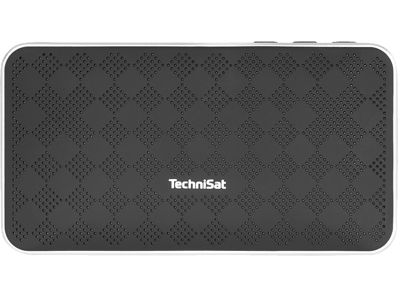 TECHNISAT BLUSPEAKER FL 200 Bluetooth Lautsprecher, Schwarz/Silber von TECHNISAT