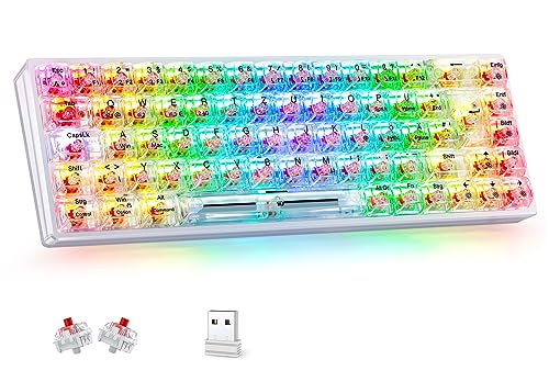 TECURS Mechanische Tastatur, RGB Gaming Tastatur Kabellos mit transparenter PC-Tastenkappe, 65% TKL Tastatur QWERTZ (Deutsch Layout) mit Rote Schalter für PC/MAC/iPad/Laptop/Xbox One von TECURS