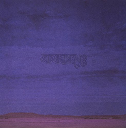 A Raining Sun of Light and Love for You [Vinyl LP] von TEE PEE